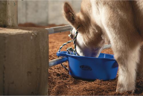 Show full view: Weaver Livestock Round Feed Pan, 22-qt, Blue slide 6 of 6