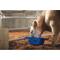 Show in main carousel: Weaver Livestock Round Feed Pan, 22-qt, Blue slide 5 of 6