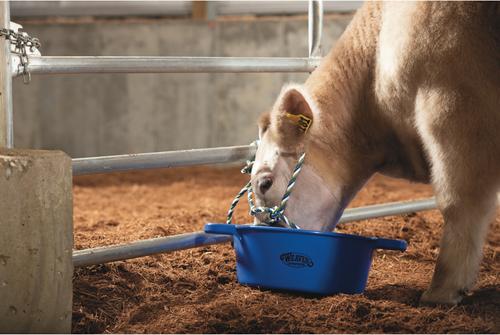 Show full view: Weaver Livestock Round Feed Pan, 22-qt, Blue slide 5 of 6