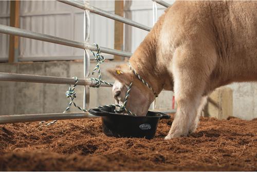Show full view: Weaver Livestock Round Feed Pan, 22-qt, Black slide 6 of 6