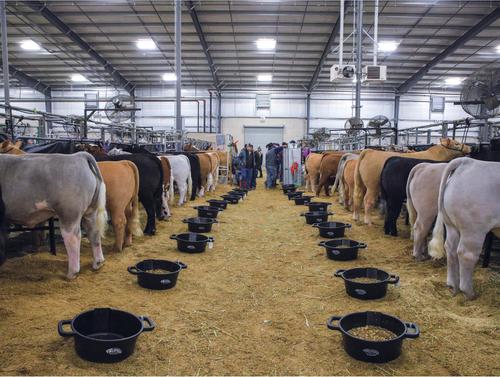 Show full view: Weaver Livestock Round Feed Pan, 22-qt, Black slide 3 of 6