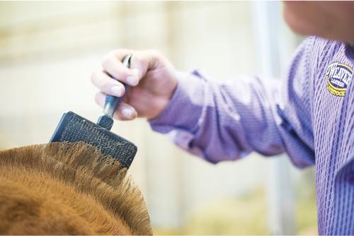 Show full view: Weaver Livestock Self Cleaning Slicker Livestock Brush slide 4 of 7