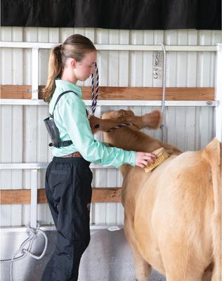 Show full view: Weaver Livestock Rice Root Livestock Brush, 6-in slide 2 of 7
