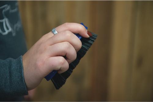 Show full view: Weaver Livestock Pig Face Brush, Small, Blue slide 2 of 6