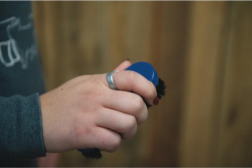 Show full view: Weaver Livestock Pig Face Brush, Small, Blue slide 3 of 6