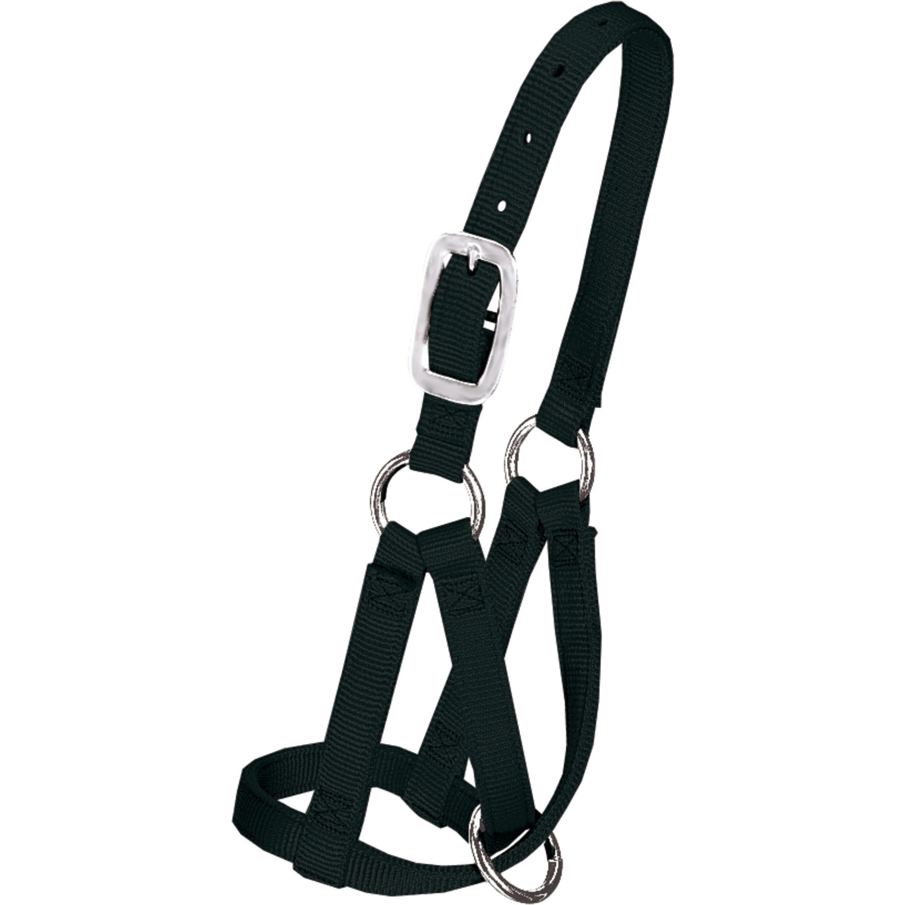 Weaver Livestock Llama Halter, Black, Small