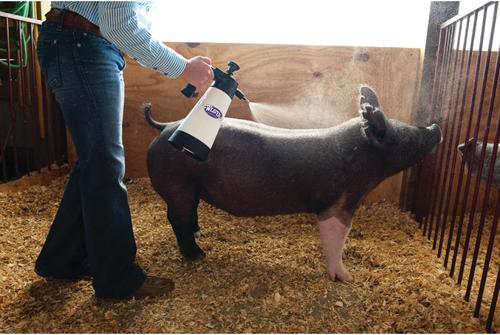 Show full view: Weaver Livestock Heavy Duty Farm Pump Sprayer, 50-fl oz slide 3 of 5