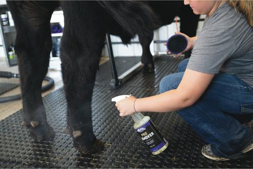 Show full view: Weaver Livestock Breakdown Brush, Purple, 4-in slide 4 of 7