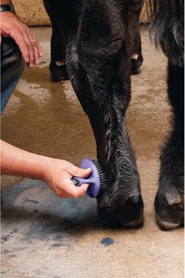 Show full view: Weaver Livestock Breakdown Brush, Purple, 4-in slide 2 of 7