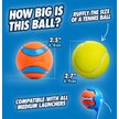 Show in main carousel: Chuckit! Ultra Rubber Ball Tough Dog Toy, Medium, 2 pack slide 3 of 12