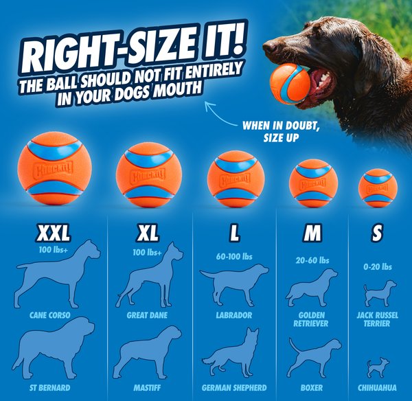 Show full view: Chuckit! Ultra Rubber Ball Tough Dog Toy, Medium, 2 pack slide 5 of 12