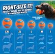 Show in main carousel: Chuckit! Ultra Rubber Ball Tough Dog Toy, Medium, 2 pack slide 5 of 12