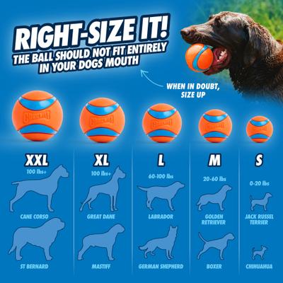 Show full view: Chuckit! Ultra Rubber Ball Tough Dog Toy, Medium, 2 pack slide 5 of 12