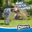 Show in main carousel: Chuckit! Ultra Rubber Ball Tough Dog Toy, Medium, 2 pack slide 4 of 12