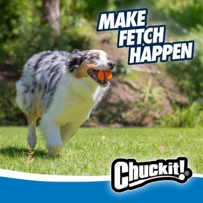 Show full view: Chuckit! Ultra Rubber Ball Tough Dog Toy, Medium, 2 pack slide 4 of 12