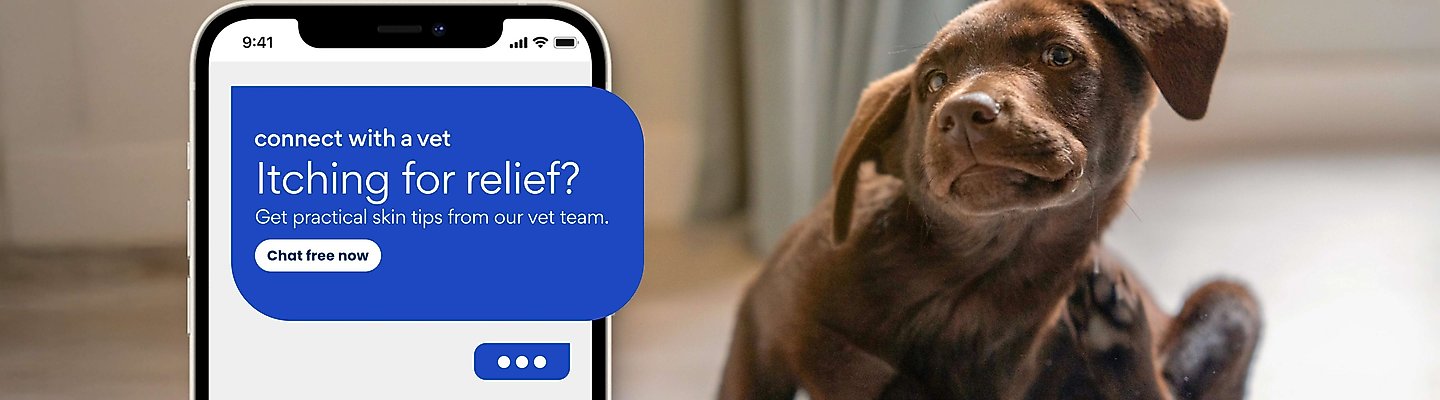 Connect with a vet: Get practical skin tips from our vet team. Chat free now.