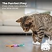 Show in main carousel: Catstages Dental Kitty Chew Wheel Cat Chew Toy slide 6 of 12