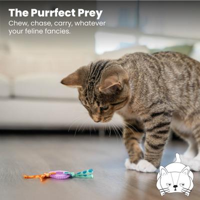 Show full view: Catstages Kitty Chew Wheel Cat Dental Toy with Catnip, Purple slide 6 of 12