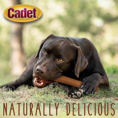 Show full view: Cadet Chewalicious Chewy 'N Savory Rolls Chicken Flavor Dog Chews, 2 count slide 8 of 10