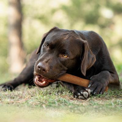 Show full view: Cadet Chewalicious Chewy 'N Savory Rolls Chicken Flavor Dog Chews, 2 count slide 5 of 10