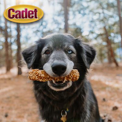 Show full view: Cadet Chewalicious Layered 'N Dipped Crunchy Sticks Peanut Flavor Dog Chews, 2 count slide 8 of 11