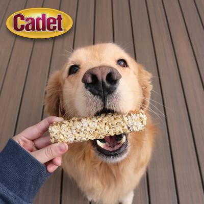 Show full view: Cadet Chewalicious Layered 'N Dipped Natural Crunchy Sticks Oat Flavor Dog Chews, 2 count slide 8 of 11