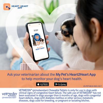 Show full view: Vetmedin (pimobendan) Chewable Tablets for Dogs, 50 tablets, 5-mg slide 8 of 10