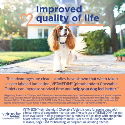 Show full view: Vetmedin (pimobendan) Chewable Tablets for Dogs, 50 tablets, 10-mg slide 5 of 9