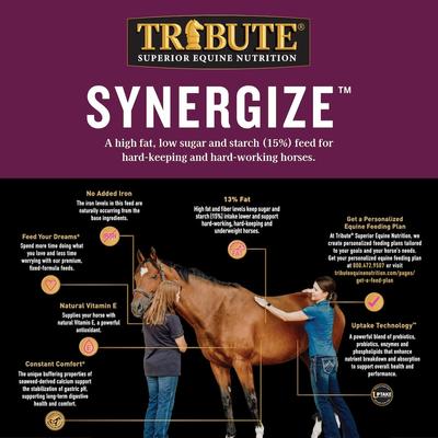 Show full view: Tribute Equine Nutrition Synergize High Fat Low Sugar & Starch Horse Feed, 50-lb bag slide 3 of 7