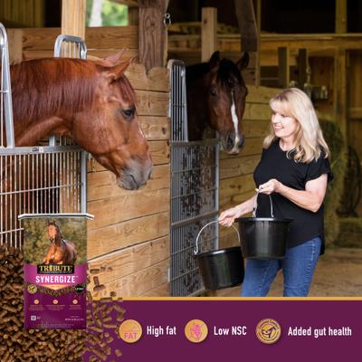 Show full view: Tribute Equine Nutrition Synergize High Fat Low Sugar & Starch Horse Feed, 50-lb bag slide 5 of 7