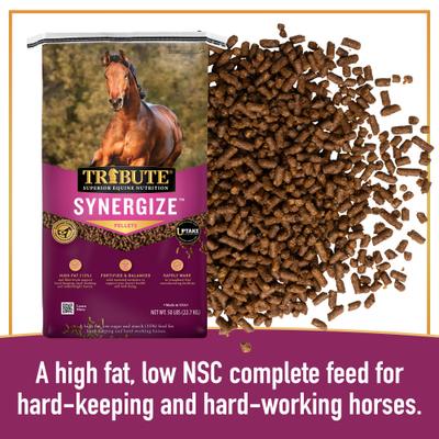 Show full view: Tribute Equine Nutrition Synergize High Fat Low Sugar & Starch Horse Feed, 50-lb bag slide 4 of 7