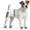 Show in main carousel: Wee-Wee Disposable Male Dog Wraps, X-Small/Small: 13 to 20-in waist, 12 count slide 6 of 12