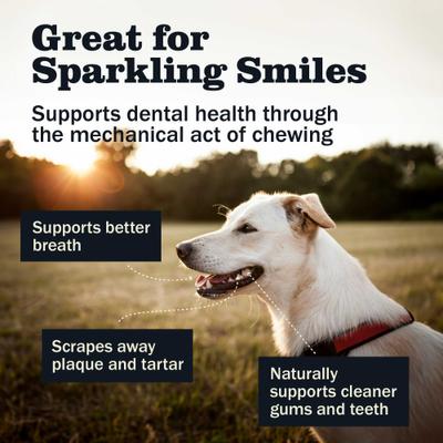 Show full view: Redbarn Premium 7" Bully Sticks Dog Treats, 6 count slide 8 of 12