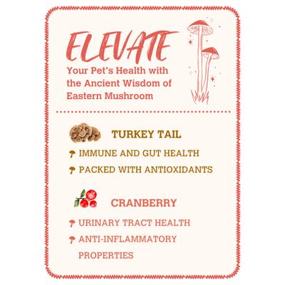 Show full view: Charmy Turkey Tail & Cranberry Organic Powder-Supplement Dog & Cat Food Topper, 140g bottle slide 3 of 4