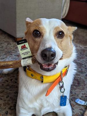 Show full view: Redbarn Collagen Stick Dog Chew, Small, 5 count slide 7 of 12