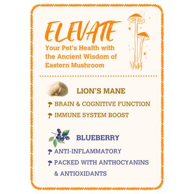 Show full view: Charmy Lion'S Mane & Blueberry Organic Powder-Supplement Dog & Cat Food Topper, 140g bottle slide 3 of 4