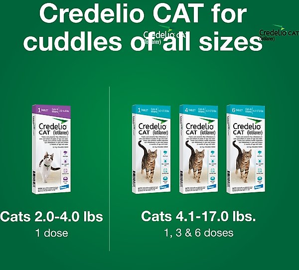 Show full view: Credelio Chewable Tablets for Cats, 4.1-17 lbs, (Teal Box), 6 Chewable Tablets (6-mos. supply) slide 7 of 9