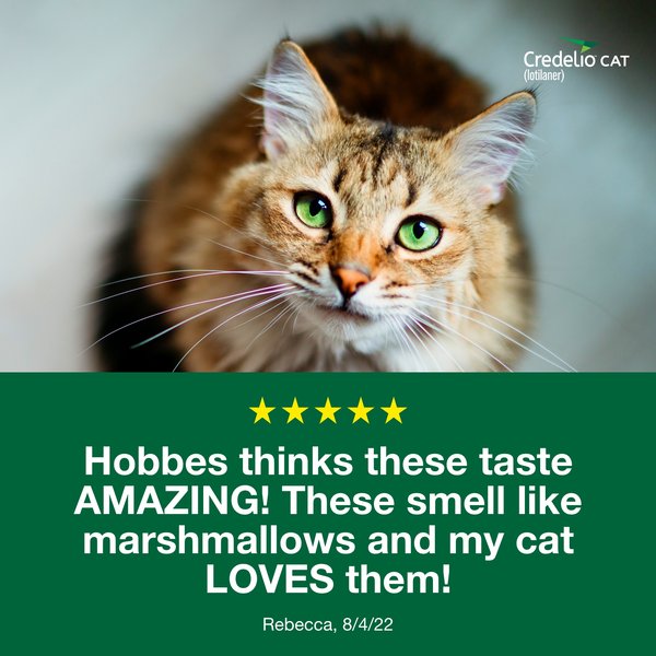 Show full view: Credelio Chewable Tablets for Cats, 4.1-17 lbs, (Teal Box), 6 Chewable Tablets (6-mos. supply) slide 5 of 9