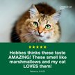 Show in main carousel: Credelio Chewable Tablets for Cats, 4.1-17 lbs, (Teal Box), 6 Chewable Tablets (6-mos. supply) slide 5 of 9