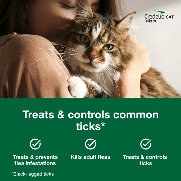Show full view: Credelio Chewable Tablets for Cats, 4.1-17 lbs, (Teal Box), 6 Chewable Tablets (6-mos. supply) slide 3 of 9