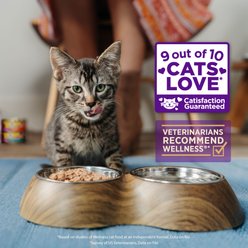 Wellness Complete Health Healthy Indulgence Gravies with Bits of Chicken & Turkey Smothered in Gravy Grain-Free Wet Cat Food Pouches, 3-oz, case of 24 slide 2 of 8