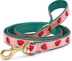 Up Country Strawberry Fields Nylon Dog Leash, Pink, 5-ft long, 5/8-in wide