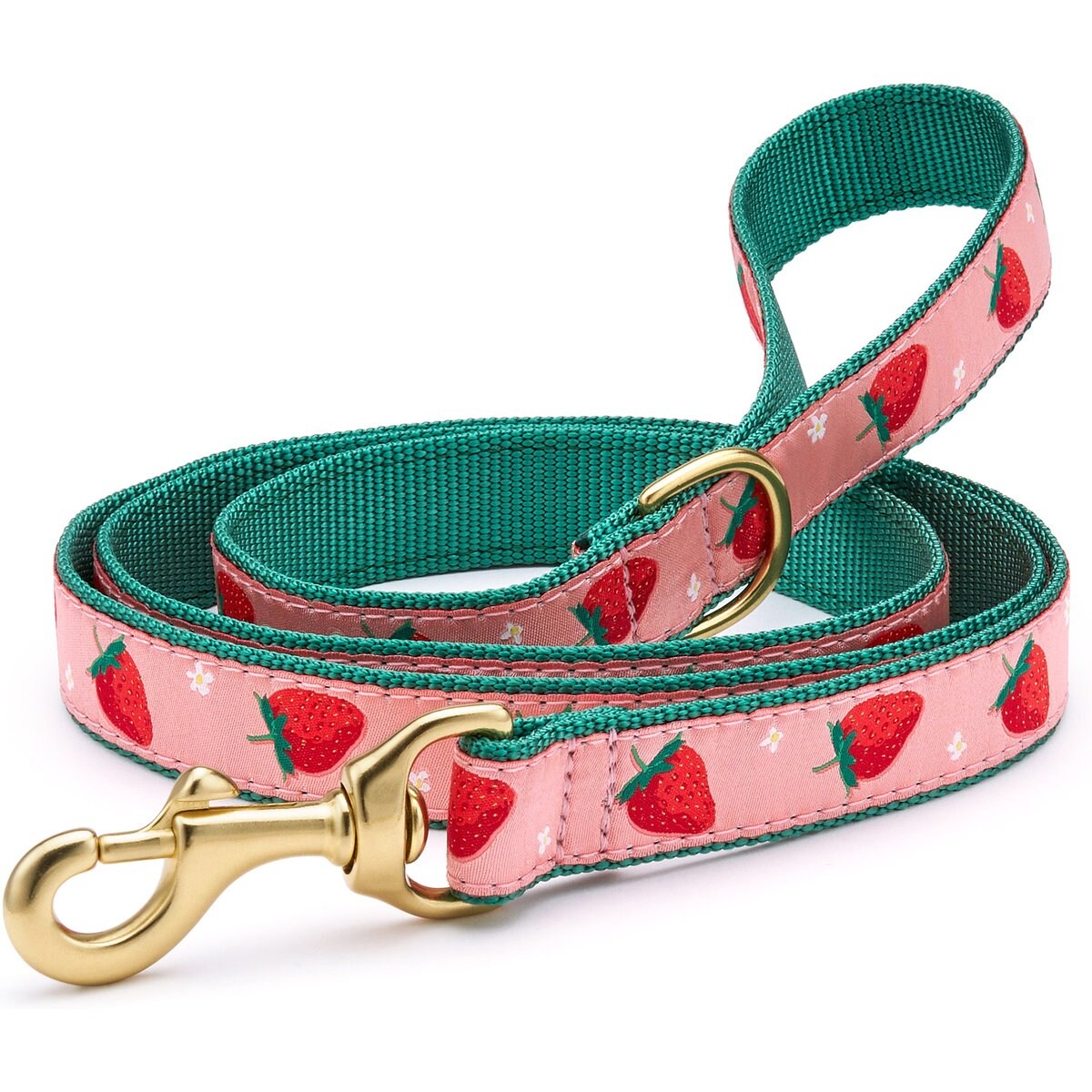Up Country Strawberry Fields Nylon Dog Leash, Pink, 5-ft long, 1-in wide