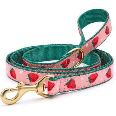 Up Country Up Country Strawberry Fields Nylon Dog Leash, Pink, 5-ft long, 1-in wide