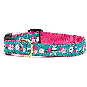Up Country Cherry Blossoms Nylon Dog Collar, Pink