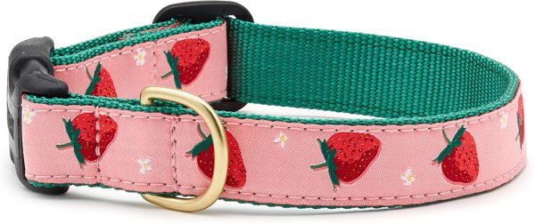 Up Country Strawberry Fields Nylon Dog Collar, Pink
