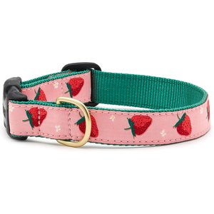 Up Country Strawberry Fields Nylon Dog Collar, Pink, Small: 15-in neck, 5/8-in wide