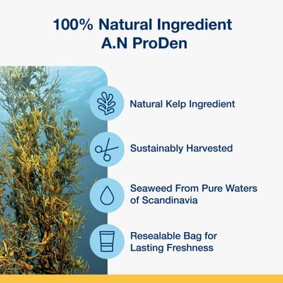 Show full view: ProDen PlaqueOff System Chicken & Pumpkin Flavored Dental Bone Dog Treats, 13 count slide 9 of 10