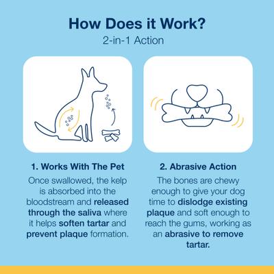 Show full view: ProDen PlaqueOff System Chicken & Pumpkin Flavored Dental Bone Dog Treats, 13 count slide 8 of 10