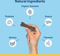 ProDen Plaque Off System Mini Dental Care Bones Peanut Butter & Banana Flavor Dental Chews for X-Small & Small Dogs, 12-oz bag slide 2 of 8